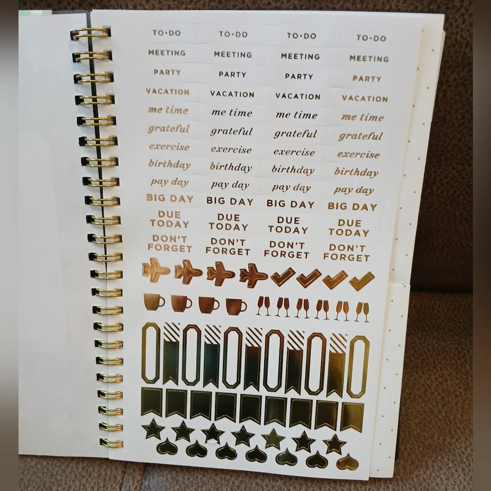 Day Designer tabbed planner 2024 to 2025